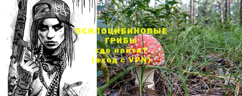 купить наркотик  Лесозаводск  Галлюциногенные грибы Psilocybe 