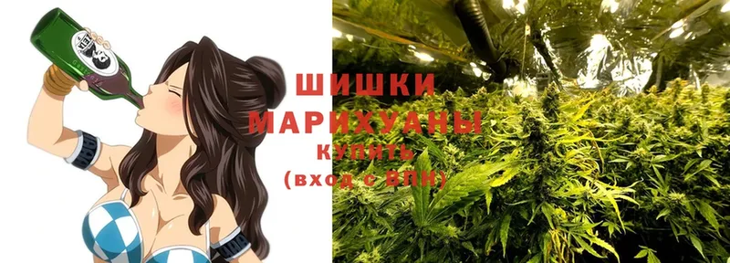 Марихуана OG Kush  Лесозаводск 